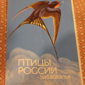 Птицы России ЗАБАЙКАЛЬЕ (Обложка к комплекту открыток)